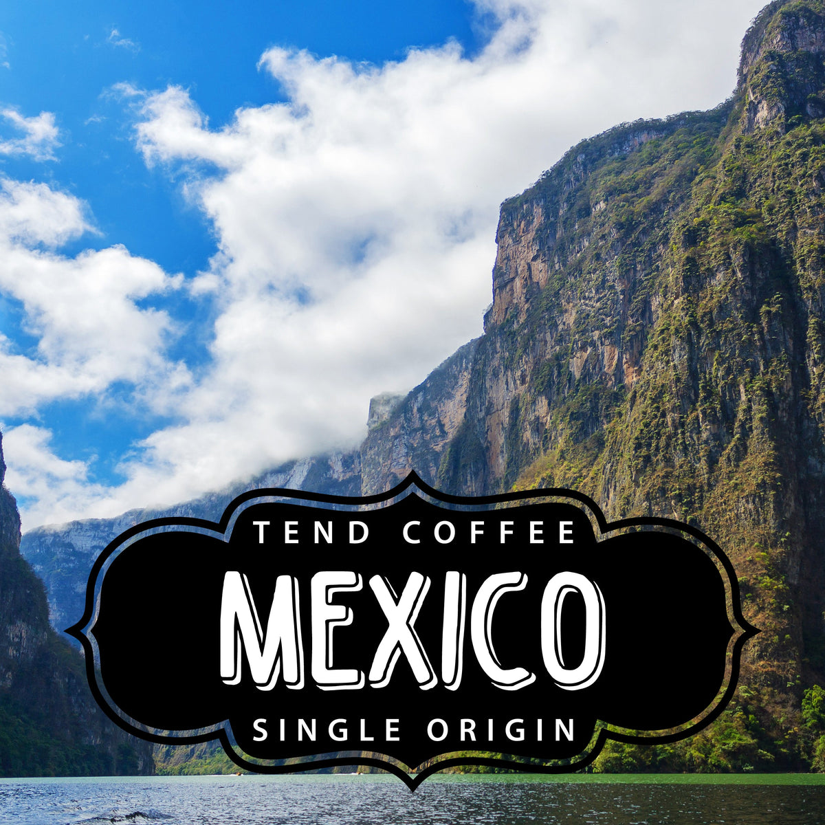 Organic Mexico, 1lb