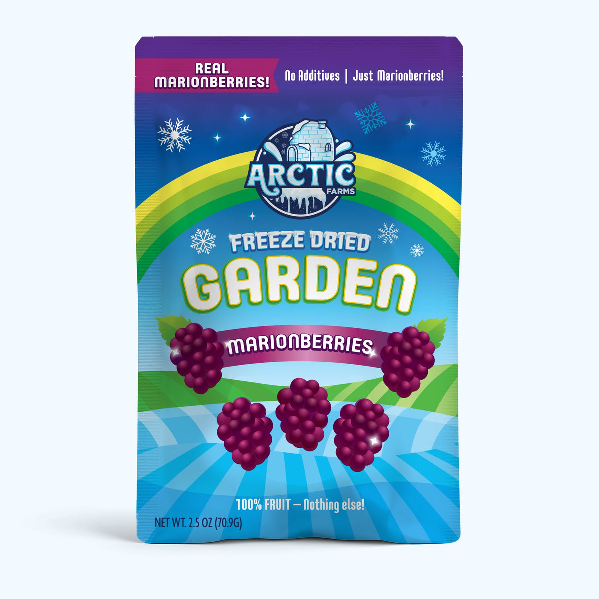 Freeze Dried Marionberries