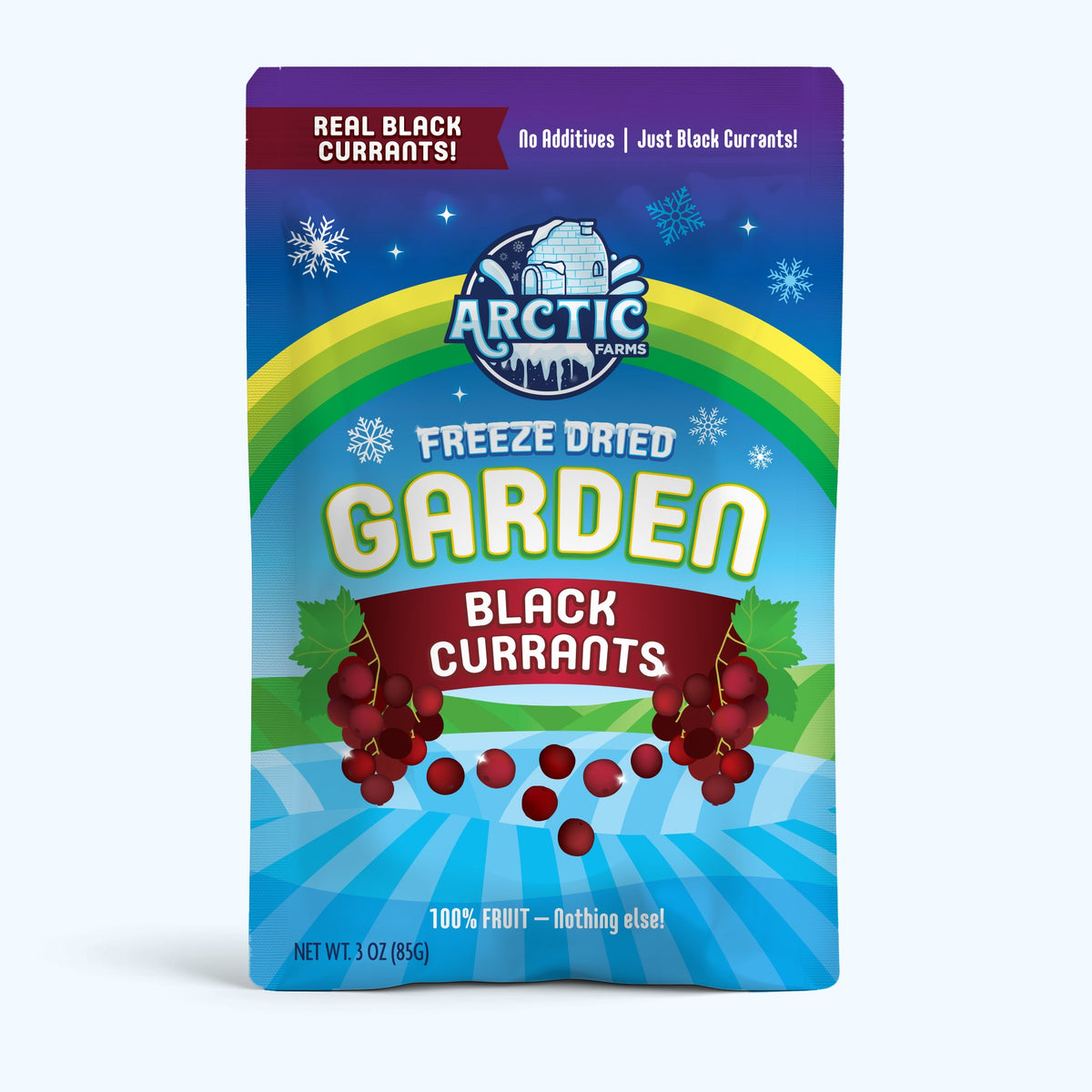 Freeze Dried Organic Black Currant