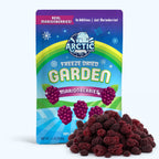 Freeze Dried Marionberries