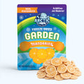Freeze Dried Mandarin Slices