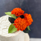 Marigold Sugar Flower