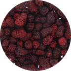 Freeze Dried Marionberries