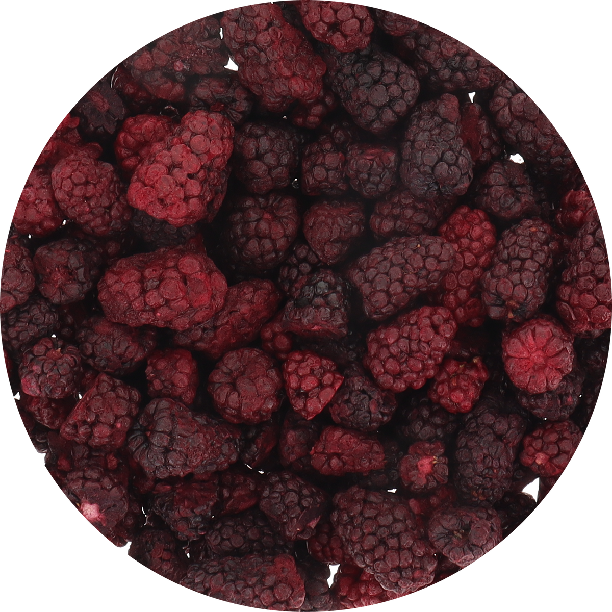Freeze Dried Marionberries