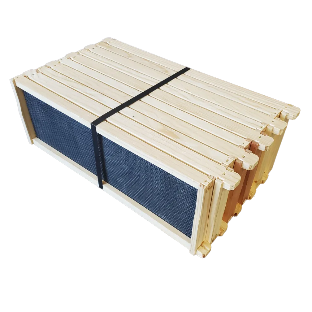 Medium 6 1/4-Inch Frame, Grooved Top / Grooved Bottom With Double Wax Foundation