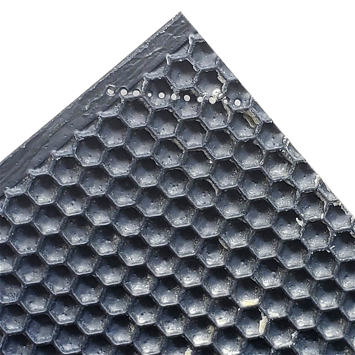 Medium, Black Plastic Foundation with Double Beeswax