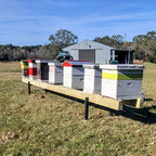Metal Hive Stand with Adjustable Legs