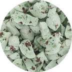 Freeze Dried Gelato - Mint Chocolate Chip