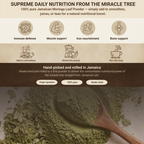 Jamaican Moringa Oleifera Leaf Powder