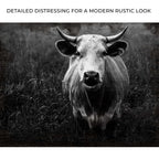 Longhorn Cattle Portrait Canvas Wall Art