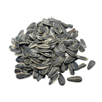 Full Salt Sunflower Seeds | 12 oz | Hill's Sunflower Seeds