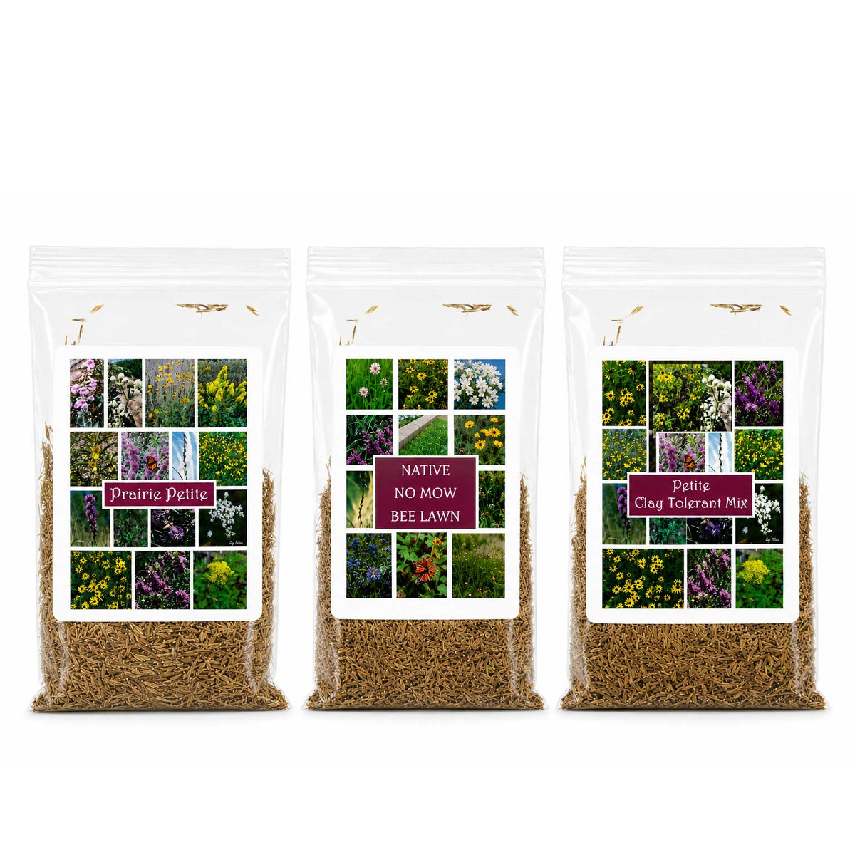 Petite Nebraska Wildflower Seed Mix Bundle  | 1.44 oz | Prairie Legacy Inc.