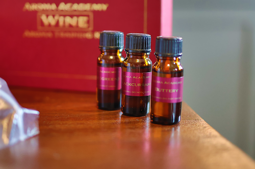 Wine Aroma Masterclass Kit - 24 Signature Aromas + Training Guide