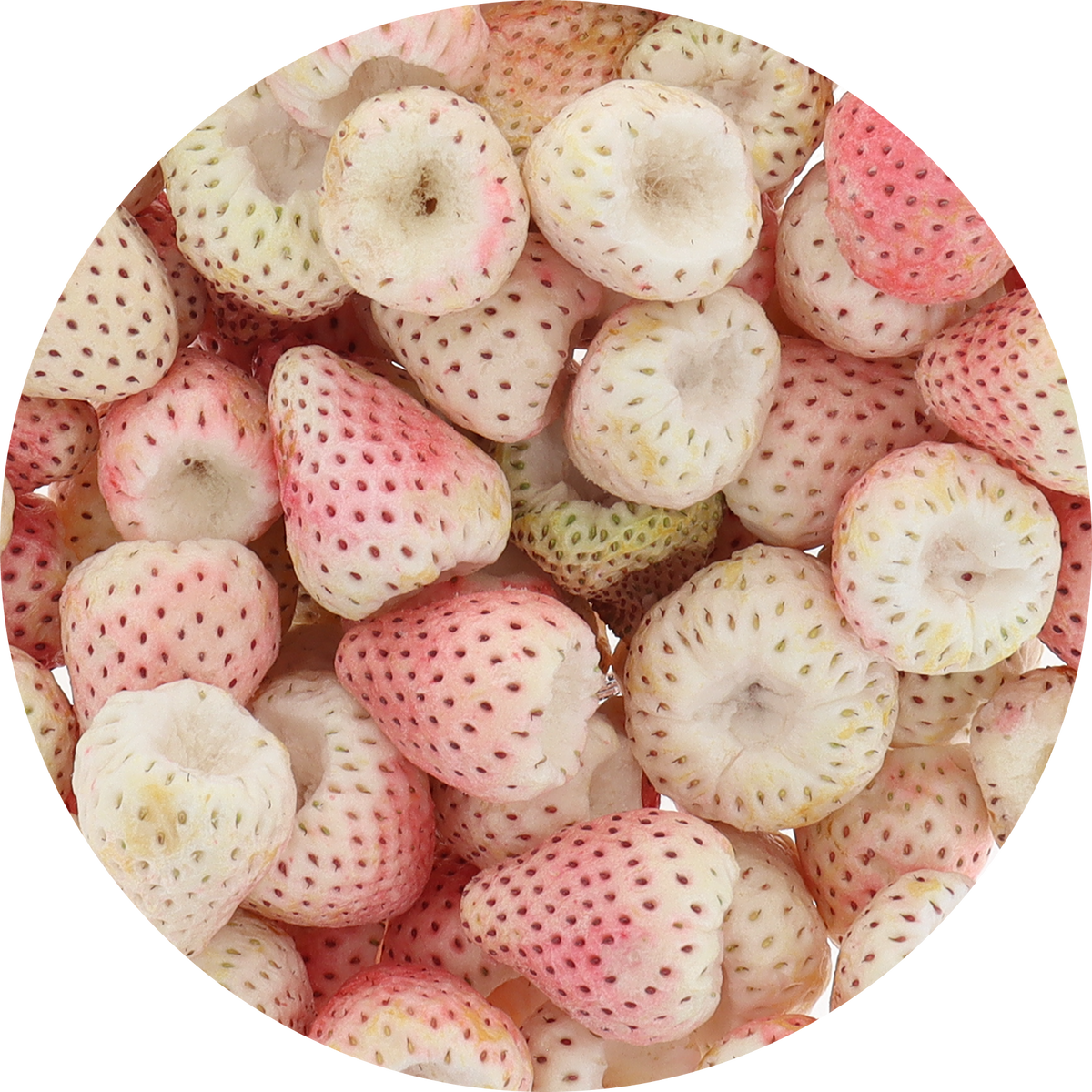 Freeze Dried Pineberry