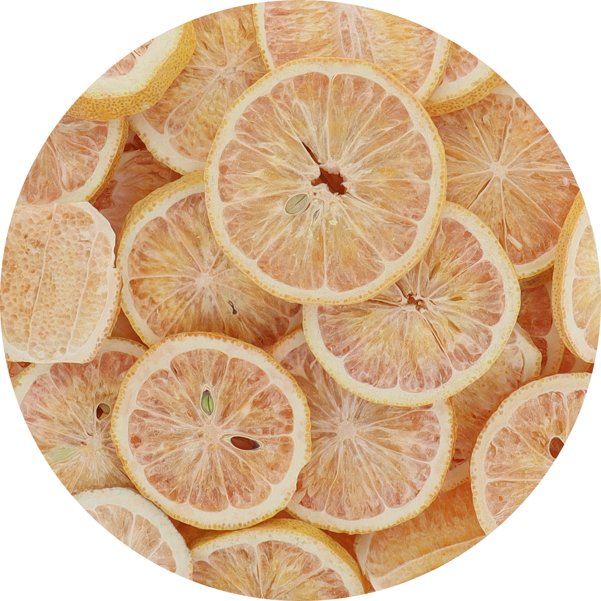 Freeze Dried Pink Lemon Slices