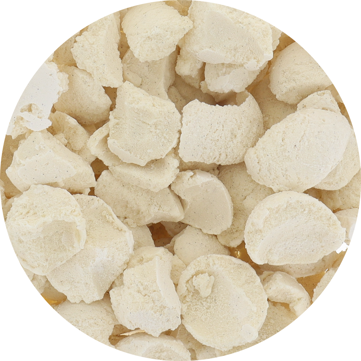 Freeze‑Dried Protein Ice Cream (Zero Added Sugar) — Vanilla