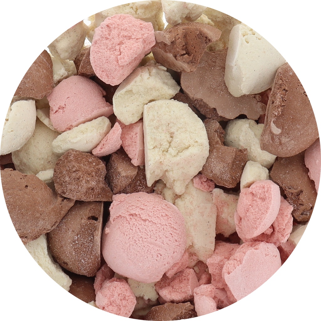 Freeze‑Dried Protein Ice Cream (Zero Added Sugar) — Neapolitan