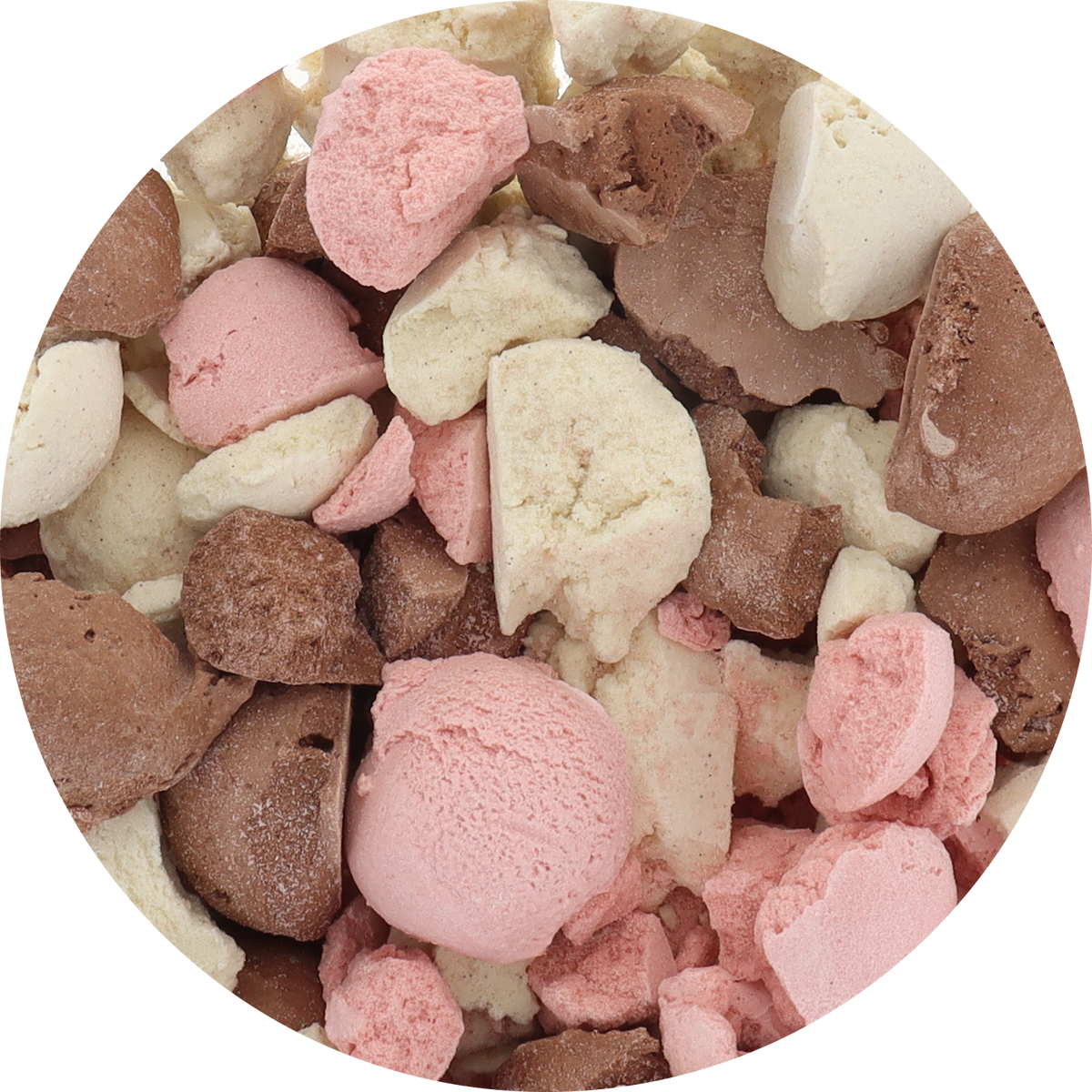 Freeze‑Dried Protein Ice Cream (Zero Added Sugar) — Neapolitan