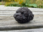 Black Beeswax Dog Head Candle