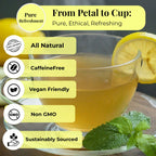 50 Lemongrass Tea Bags, Te De Limon, 100% Natural, Premium Lemon Grass Tea, Relaxing & Calming, Non-GMO, Caffeine-Free. by Akshit.