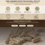 Iron Lion Capsules | Jamaican Roots Tonic Supplement with Sarsaparilla, Chaney Root (Cocolmeca), Strongback, Allman Strength