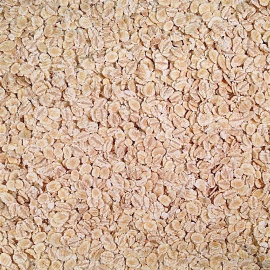 Organic Rolled Barley | Pack of 4 | 1 lb | Non-GMO | Shipping Included | Grain Place Foods