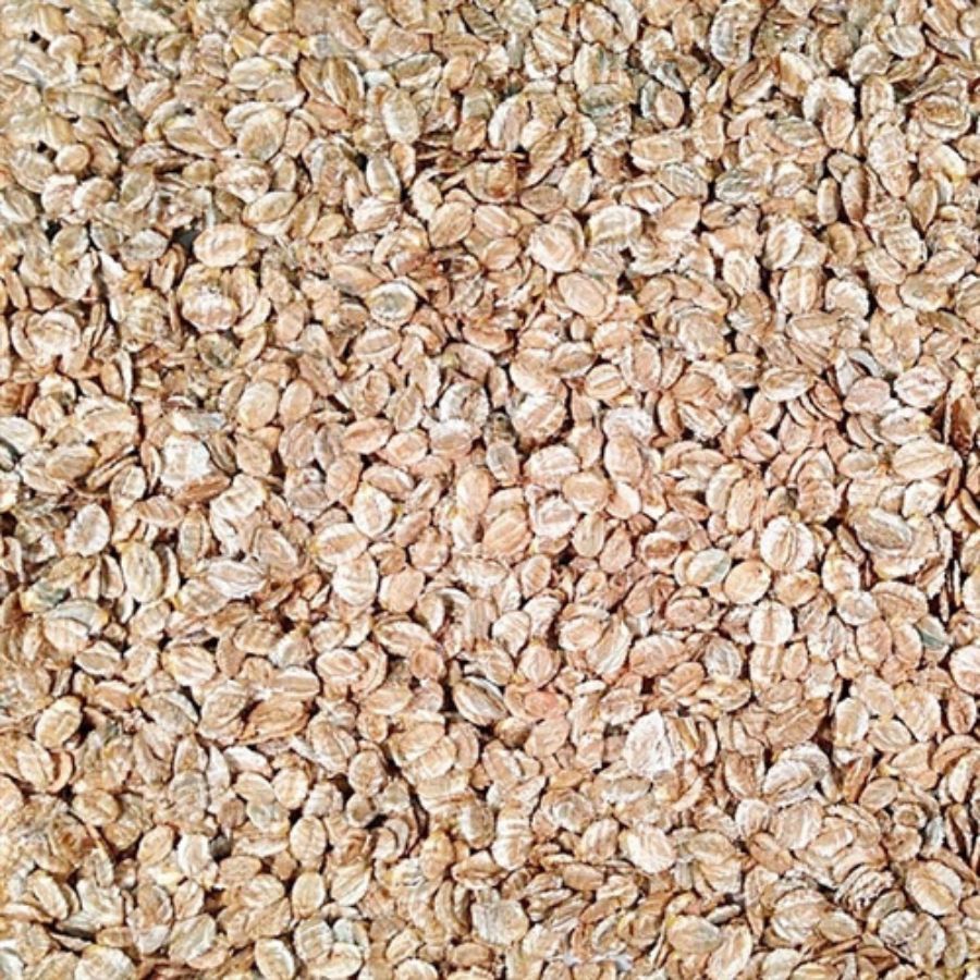Organic Rolled Rye | Pack of 2 | 25 lb | Non-GMO | Shipping Included | Grain Place Foods