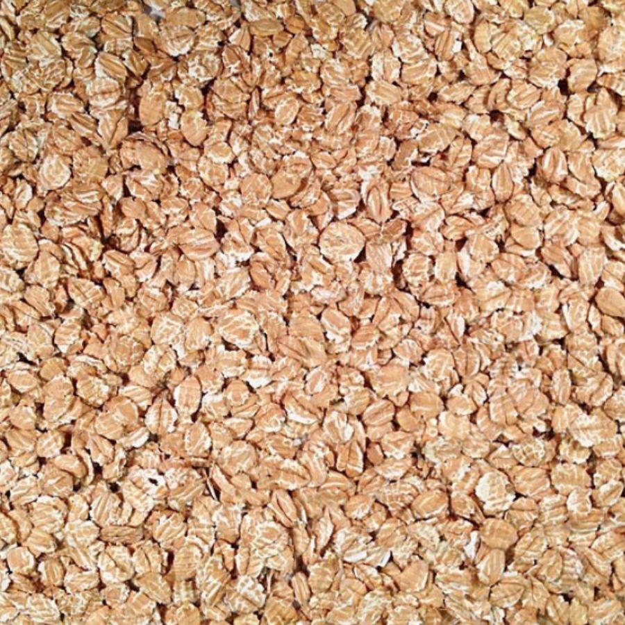 Organic Rolled Spelt | 25 lb | Non-GMO | Shipping Included | Grain Place Foods
