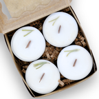 Rosemary | Essential Oil | Tealight Aluminum Cup Candles