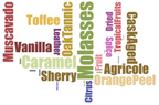 Rum Aroma Masterclass Kit - 24 Signature Aromas + Training Guide