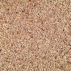 Organic Rye | 25 lb | Pack of 2 | Non-GMO | Grain Place Foods