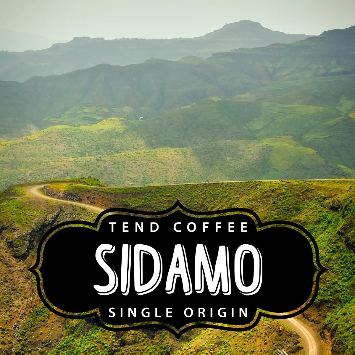 Organic Sidamo, 1lb