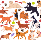 Dog Park Glass Cups