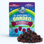 Freeze Dried Boysenberry