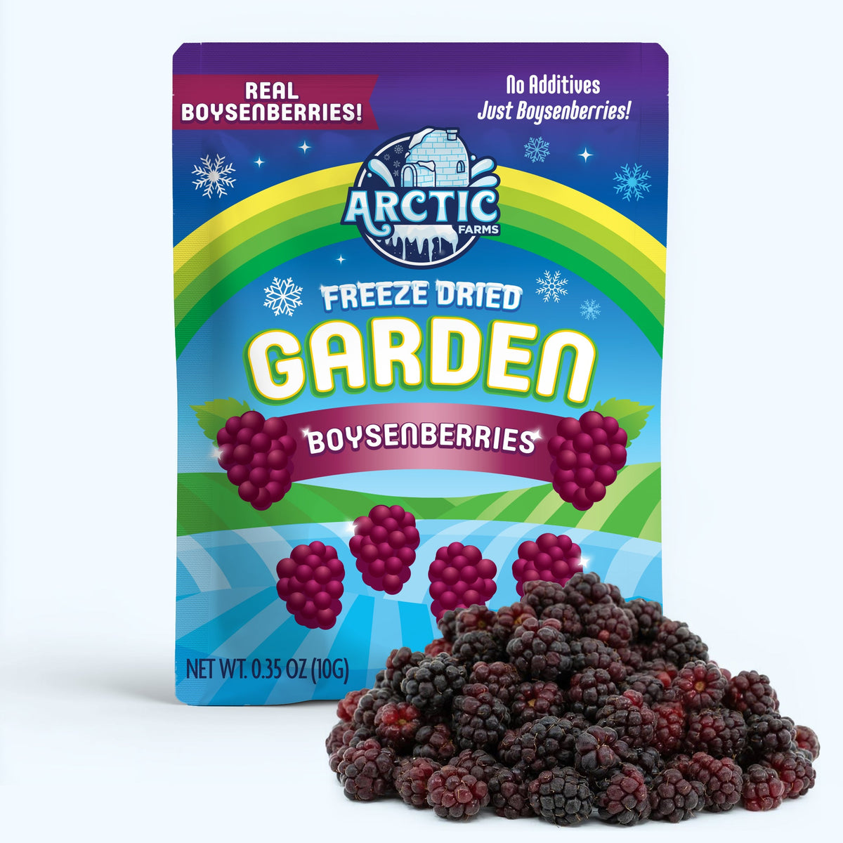 Freeze Dried Boysenberry