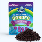 Freeze Dried Wild Blue Huckleberries