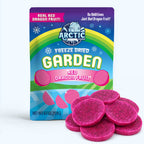 Freeze Dried Red Dragon Fruit Slices