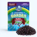 Freeze Dried Organic Black Currant