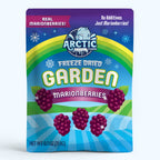 Freeze Dried Marionberries