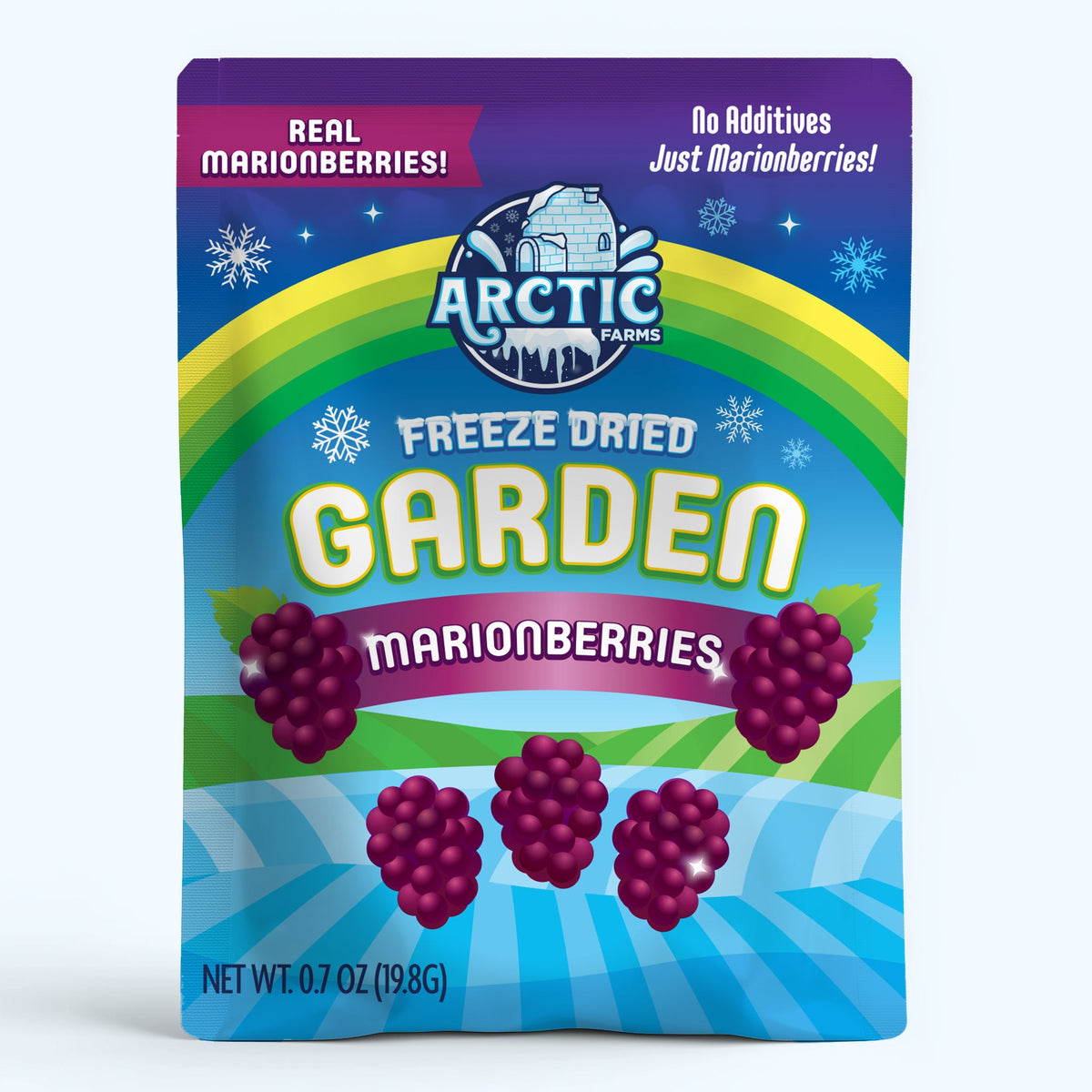 Freeze Dried Marionberries