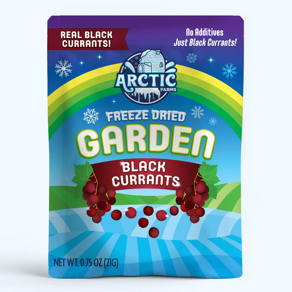 Freeze Dried Organic Black Currant