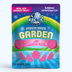 Freeze Dried Red Dragon Fruit Slices