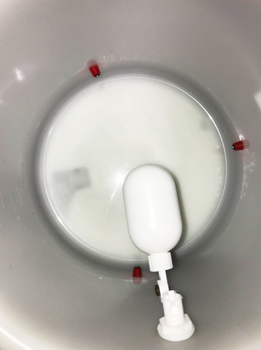 Farmer Brad Chicken Waterer (Heated version)