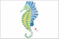Seahorse Placemat | Ocean-Inspired