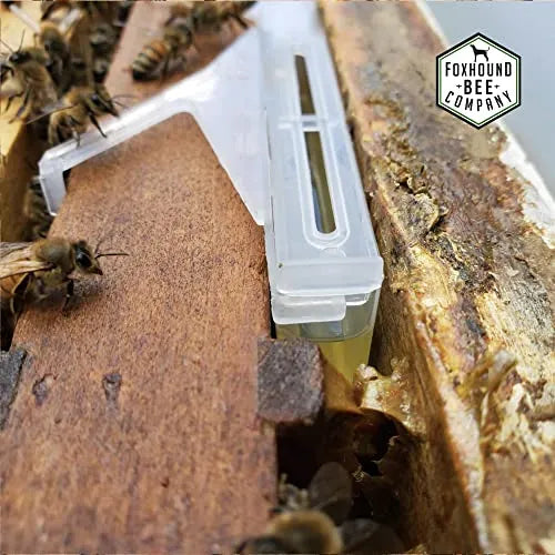 Small Hive Beetle Baitable Trap