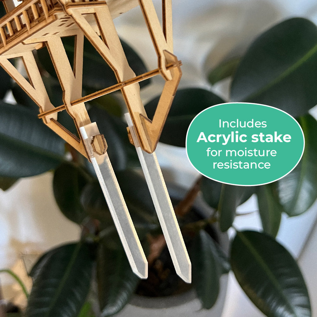 Tropical Lookout + Free USB Timer Light