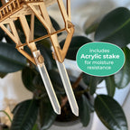Tropical Lookout + Free USB Timer Light
