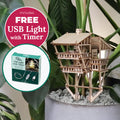 Tropical Lookout + Free USB Timer Light