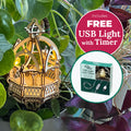 Autumn Pavilion + Free USB Timer Light