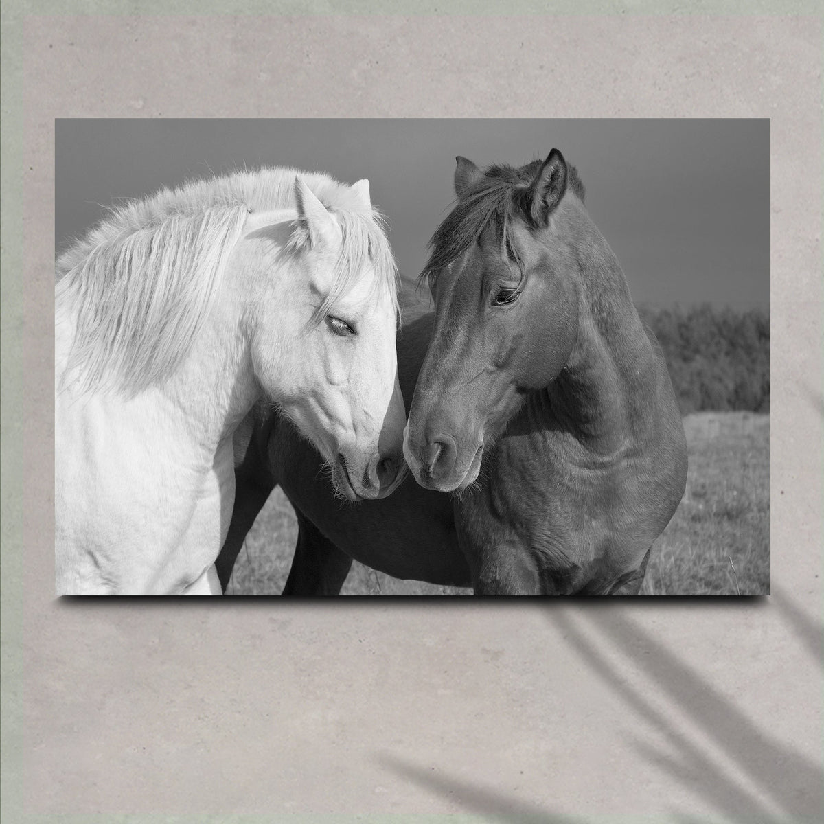 Horse Love Canvas Wall Art